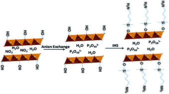 Graphical abstract: Synthesis of aminopropyltriethoxysilane grafted/tripolyphosphate intercalated ZnAl LDHs and their performance in the flame retardancy and smoke suppression of polyurethane elastomer