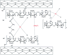 Graphical abstract: Adsorptive recovery of palladium(ii) from aqueous solution onto cross-linked chitosan/montmorillonite membrane