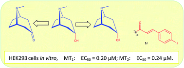 Graphical abstract: Bioactivity-guided synthesis of tropine derivatives as new agonists for melatonin receptors