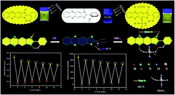 Graphical abstract: A dual-channel chemosensor could successively detect CN− and HSO4− in an aqueous solution and act as a keypad lock