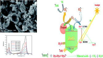 Graphical abstract: Facile fabrication of highly efficient modified ZnO photocatalyst with enhanced photocatalytic, antibacterial and anticancer activity