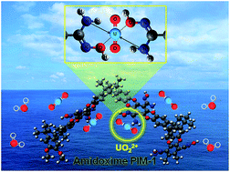 Graphical abstract: Rapid extraction of uranium ions from seawater using novel porous polymeric adsorbents