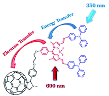 Graphical abstract: Photoinduced energy and charge transfer in a bis(triphenylamine)–BODIPY–C60 artificial photosynthetic system