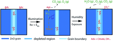 Graphical abstract: Evolution of carbon impurities in solution-grown and sputtered Al:ZnO thin films exposed to UV light and damp heat degradation