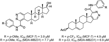 Graphical abstract: Access to steroidal pyridazines via modified thiohydrazides