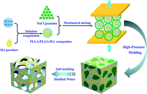 Graphical abstract: Tailor-made poly(l-lactide)/poly(lactide-co-glycolide)/hydroxyapatite composite scaffolds prepared via high-pressure compression molding/salt leaching