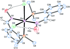 Graphical abstract: Synthesis and catalytic applications of ruthenium(ii)–phosphino-oxime complexes