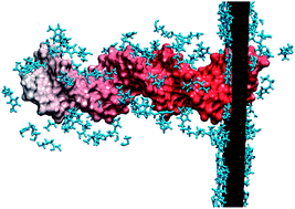 Graphical abstract: Ionic liquid prolongs DNA translocation through graphene nanopores