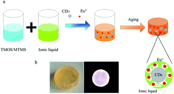 Graphical abstract: Eu3+-doped ionogel-functionalized carbon dot monoliths with bright white photoluminescence