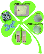 Graphical abstract: Electrospinning of polymer-free cyclodextrin/geraniol–inclusion complex nanofibers: enhanced shelf-life of geraniol with antibacterial and antioxidant properties