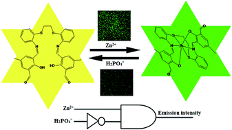 Graphical abstract: Imine-functionalized thioether Zn(ii) turn-on fluorescent sensor and its selective sequential logic operations with H2PO4−, DFT computation and live cell imaging