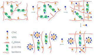 Graphical abstract: Non-covalent marriage of β-cyclodextrin-polyethylene glycol and functional polyacrylamide via host–guest interaction: construction, characterization and performances