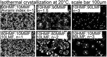 Graphical abstract: Engineering the microstructure of milk fat by blending binary and ternary mixtures of its fractions