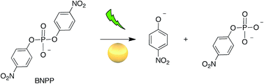 Graphical abstract: Photo-enhanced hydrolysis of bis(4-nitrophenyl) phosphate using Cu(ii) bipyridine-capped plasmonic nanoparticles