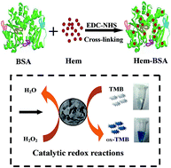 Graphical abstract: Crosslinking catalysis-active center of hemin on the protein scaffold toward peroxidase mimic with powerful catalysis