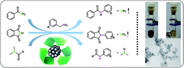 Graphical abstract: Transamidation catalysed by a magnetically separable Fe3O4 nano catalyst under solvent-free conditions