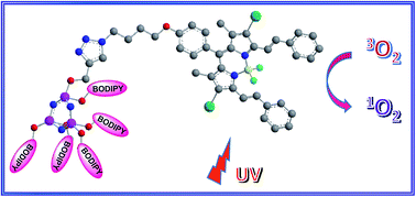 Graphical abstract: BODIPY decorated dendrimeric cyclotriphosphazene photosensitizers: synthesis and efficient singlet oxygen generators