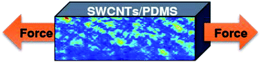 Graphical abstract: In situ photoacoustic imaging of carbon nanotube displacements in a strained polymer matrix