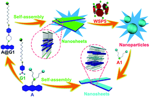 Graphical abstract: A diols-responsive triple-component supra-amphiphile constructed from pillar[5]arene-based recognition