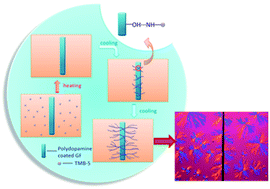 Graphical abstract: Root-like glass fiber with branched fiber prepared via molecular self-assembly