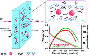 Graphical abstract: A phosphotungstic acid self-anchored hybrid proton exchange membrane for direct methanol fuel cells