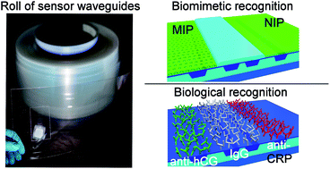 Graphical abstract: Disposable (bio)chemical integrated optical waveguide sensors implemented on roll-to-roll produced platforms