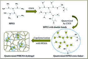 Graphical abstract: A tough nanocomposite hydrogel for antifouling application with quaternized hyperbranched PEI nanoparticles crosslinking