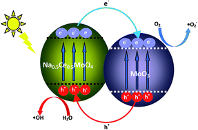 Graphical abstract: Na0.5Ce0.5MoO4 as a new light absorption material to efficiently degrade RhB under visible light irradiation