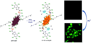 Graphical abstract: A diketopyrrolopyrrole-based fluorescence turn-on probe for the detection of Pb2+ in aqueous solution and living cells