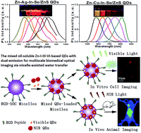 Graphical abstract: Quaternary alloy quantum dots with widely tunable emission – a versatile system to fabricate dual-emission nanocomposites for bio-imaging