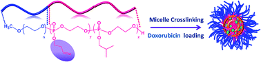 Graphical abstract: Core cross-linked micelles of polyphosphoester containing amphiphilic block copolymers as drug nanocarriers