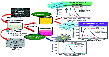 Graphical abstract: Paper carbon dot based fluorescence sensor for distinction of organic and inorganic sulphur in analytes