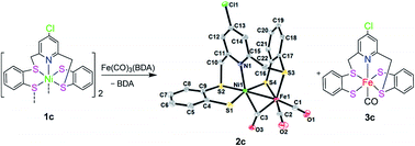 Graphical abstract: Reactions of dinuclear Ni2 complexes [Ni(RNPyS4)]2 (RNPyS4 = 2,6-bis(2-mercaptophenylthiomethyl)-4-R-pyridine) with Fe(CO)3(BDA) (BDA = benzylidene acetone) leading to heterodinuclear NiFe and mononuclear Fe complexes related to the active sites of [NiFe]- and [Fe]-hydrogenases