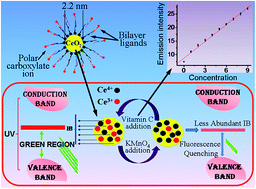 Graphical abstract: Size-tunable hydrophilic cerium oxide nanoparticles as a ‘turn-on’ fluorescence sensor for the rapid detection of ultralow concentrations of vitamin C