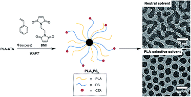 Graphical abstract: Heteroarm core cross-linked star polymers via RAFT copolymerization of styrene and bismaleimide