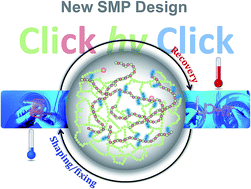 Graphical abstract: New design of highly homogeneous photopolymer networks for shape memory materials