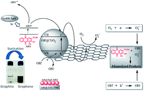 Graphical abstract: Exfoliation of graphite into graphene in aqueous solution: an application as graphene/TiO2 nanocomposite to improve visible light photocatalytic activity