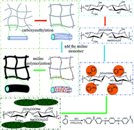 Graphical abstract: Preparation of a carboxymethylated bacterial cellulose/polyaniline composite gel membrane and its characterization