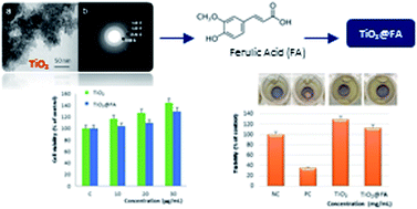 Graphical abstract: Mesoporous nanocrystalline TiO2 loaded with ferulic acid for sunscreen and photo-protection: safety and efficacy assessment