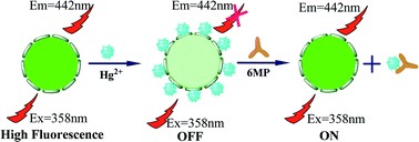 Graphical abstract: Fluorescence quenching and spectrophotometric methods for the determination of 6-mercaptopurine based on carbon dots