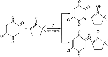 Graphical abstract: Theoretical studies on the spin trapping of the 2-chloro-5-hydroxy-1,4-benzoquinone radical by 5,5-dimethyl-1-pyrroline N-oxide (DMPO): the identification of the C–O bonding spin adduct