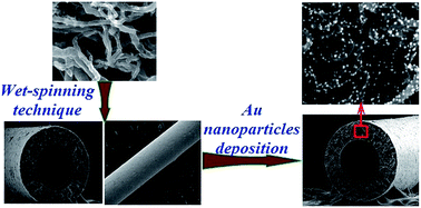 Graphical abstract: Fabrication of Au/CNT hollow fiber membrane for 4-nitrophenol reduction