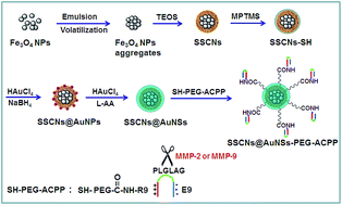 Graphical abstract: Au nanoshell-coated superparamagnetic Fe3O4–silica composite nanoparticles with surface-modification of an activatable cell-penetrating peptide for tumor-targeted multimode bioimaging and photothermal therapy