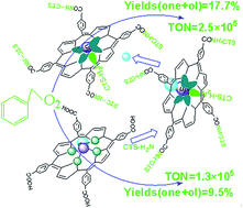 Graphical abstract: Oxygen oxidation of ethylbenzene over manganese porphyrin is promoted by the axial nitrogen coordination in powdered chitosan