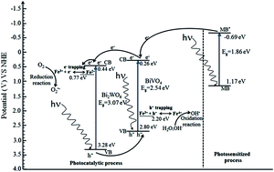 Graphical abstract: The effect of iron doping on the photocatalytic activity of a Bi2WO6–BiVO4 composite