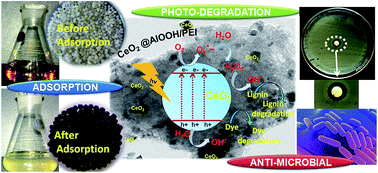 Graphical abstract: Photoactive, antimicrobial CeO2 decorated AlOOH/PEI hybrid nanocomposite: a multifunctional catalytic-sorbent for lignin and organic dye