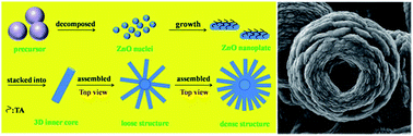 Graphical abstract: Formation of nanoplate-based clew-like ZnO mesocrystals and their photocatalysis application