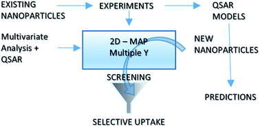 Graphical abstract: Computational approaches for the prediction of the selective uptake of magnetofluorescent nanoparticles into human cells