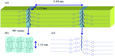 Graphical abstract: Hydrogen bonding interactions affect the hierarchical self-assembly and secondary structures of comb-like polypeptide supramolecular complexes displaying photoresponsive behavior