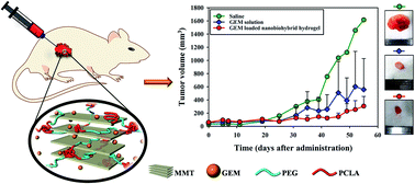 Graphical abstract: Pancreatic cancer therapy using an injectable nanobiohybrid hydrogel